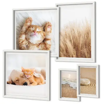 Set di 5 quadri con animali carini in paesaggi