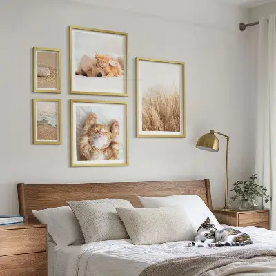 Set di 5 quadri con animali carini in paesaggi