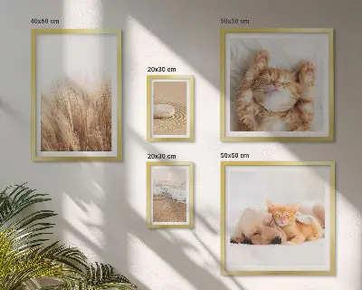 Set di 5 quadri con animali carini in paesaggi