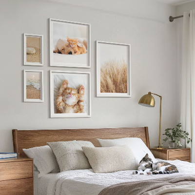 Set di 5 quadri Animali carini in paesaggi