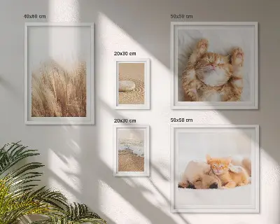 Set di 5 quadri con animali carini in paesaggi