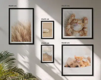Set di 5 quadri con animali carini in paesaggi