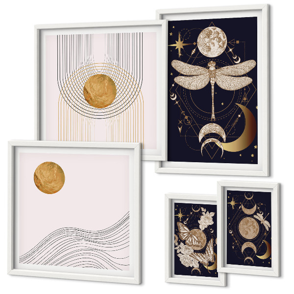 Set di quadri incorniciati Eleganti motivi di insetti spaziali