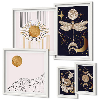Set di quadri incorniciati Eleganti motivi di insetti spaziali
