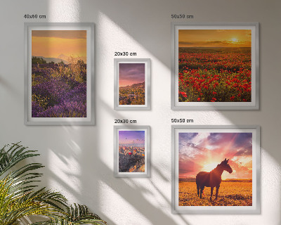 Set di quadri incorniciati Paesaggi naturali cavalli fiori