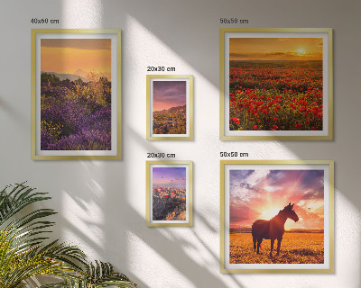 Set di quadri incorniciati Paesaggi naturali cavalli fiori