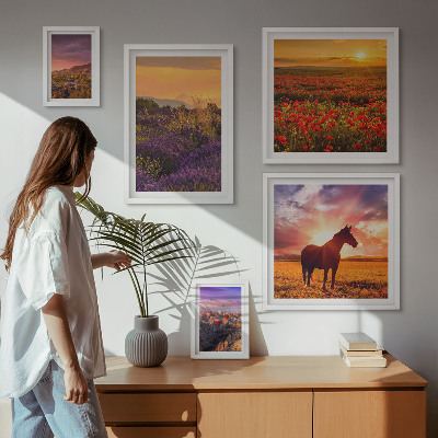 Set di quadri incorniciati Paesaggi naturali cavalli fiori