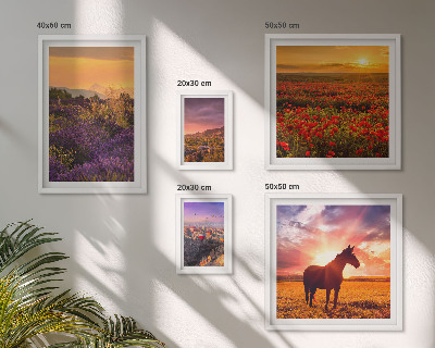 Set di quadri incorniciati Paesaggi naturali cavalli fiori