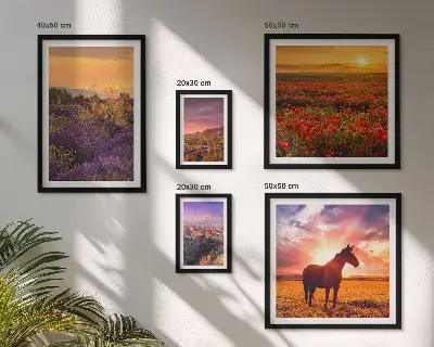 Set di quadri incorniciati con paesaggi naturali di cavalli e fiori