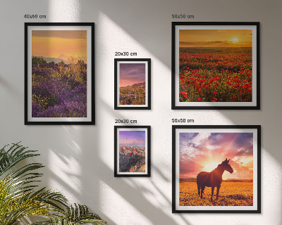 Set di quadri incorniciati Paesaggi naturali cavalli fiori