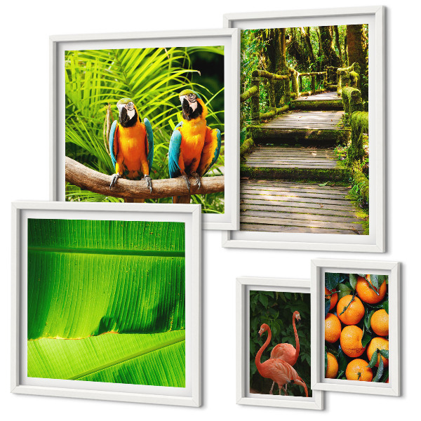 Set di 5 quadri Motivi di frutta tropicale