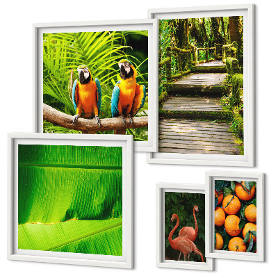 Set di 5 quadri Motivi di frutta tropicale