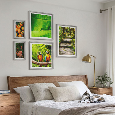 Set di 5 quadri Motivi di frutta tropicale