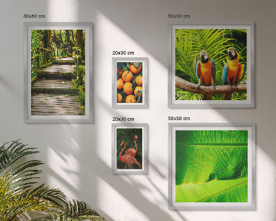 Set di 5 quadri Motivi di frutta tropicale