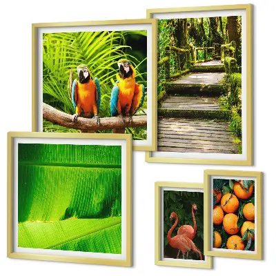 Set di 5 quadri con motivi di frutta tropicale