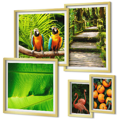Set di 5 quadri Motivi di frutta tropicale
