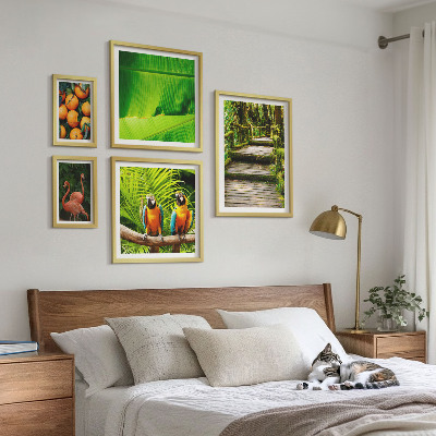 Set di 5 quadri Motivi di frutta tropicale