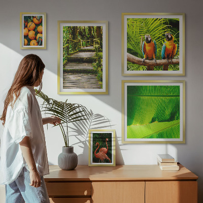 Set di 5 quadri Motivi di frutta tropicale