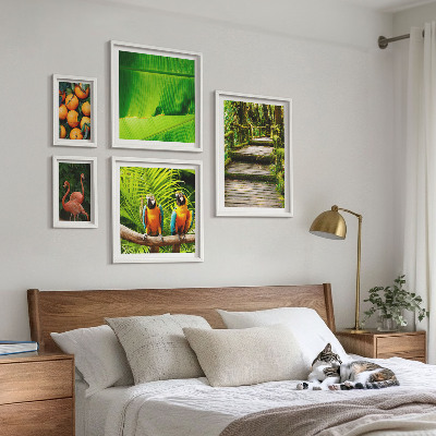 Set di 5 quadri Motivi di frutta tropicale