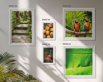 Set di 5 quadri Motivi di frutta tropicale