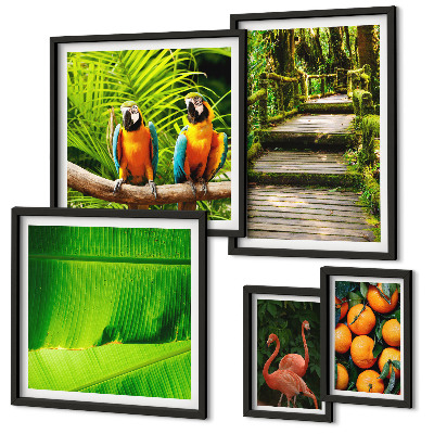 Set di 5 quadri Motivi di frutta tropicale