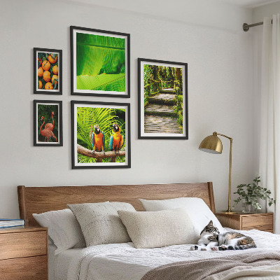 Set di 5 quadri Motivi di frutta tropicale