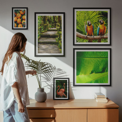 Set di 5 quadri Motivi di frutta tropicale