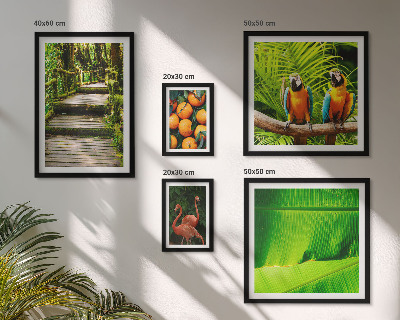 Set di 5 quadri Motivi di frutta tropicale