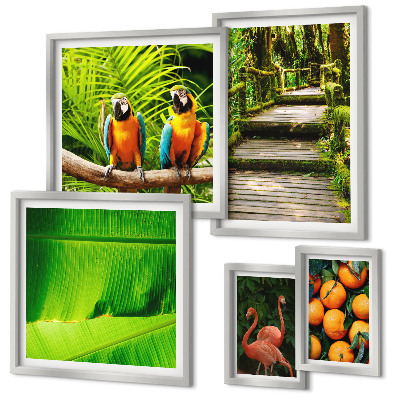 Set di 5 quadri Motivi di frutta tropicale