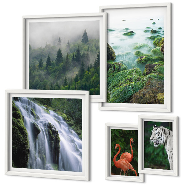 Set di quadri incorniciati Natura, animali selvatici, paesaggi