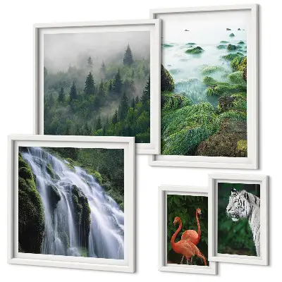Set di quadri incorniciati con stampe di natura, animali selvatici e paesaggi