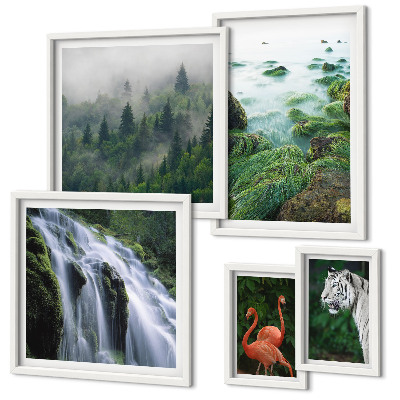 Set di quadri incorniciati Natura, animali selvatici, paesaggi