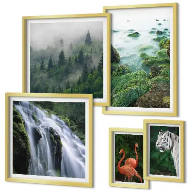Set di quadri incorniciati con stampe di natura, animali selvatici e paesaggi