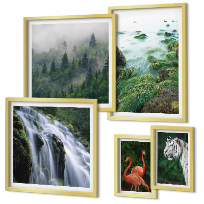 Set di quadri incorniciati Natura, animali selvatici, paesaggi