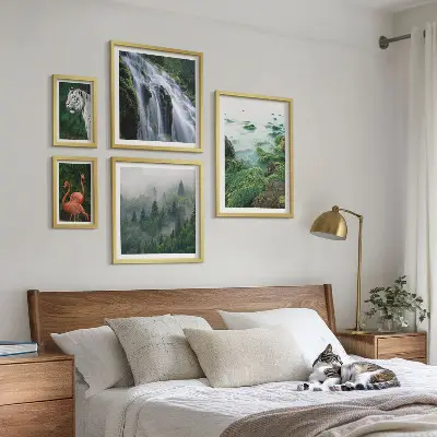 Set di quadri incorniciati con stampe di natura, animali selvatici e paesaggi