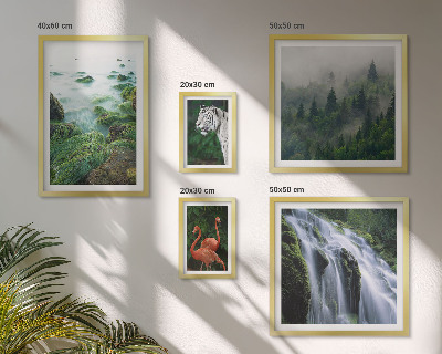 Set di quadri incorniciati Natura, animali selvatici, paesaggi