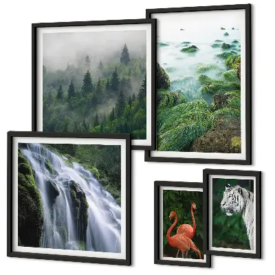 Set di quadri incorniciati con stampe di natura, animali selvatici e paesaggi