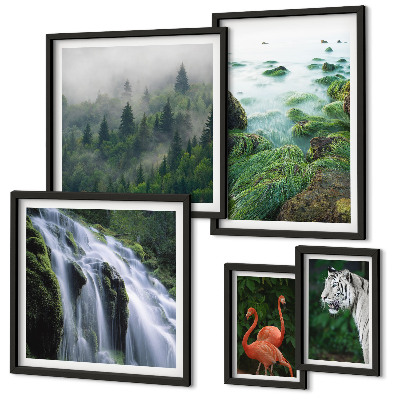 Set di quadri incorniciati Natura, animali selvatici, paesaggi