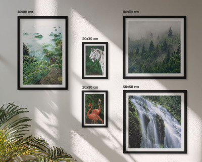 Set di quadri incorniciati Natura, animali selvatici, paesaggi