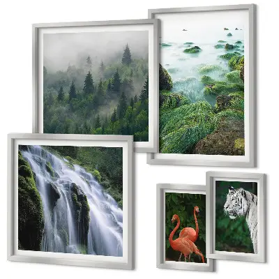 Set di quadri incorniciati con stampe di natura, animali selvatici e paesaggi