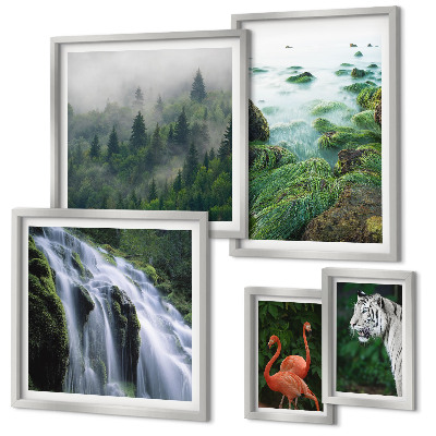 Set di quadri incorniciati Natura, animali selvatici, paesaggi