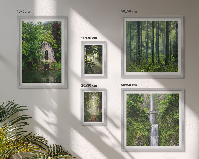 Set di 5 quadri foreste verdi cascate natura