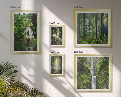 Set di 5 quadri foreste verdi cascate natura