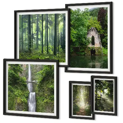 Set di 5 quadri con foreste verdi e cascate immerse nella natura
