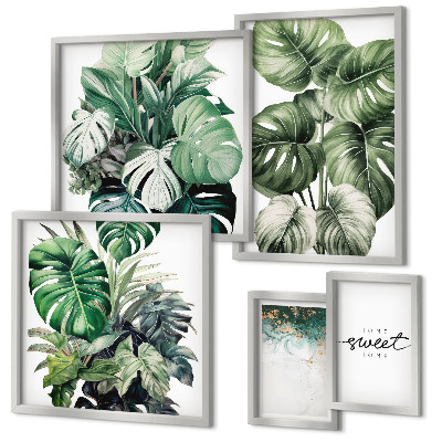 Set di 5 quadri Motivi vegetali moderni