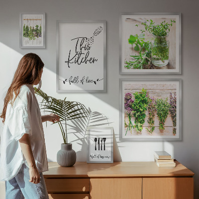 Set di 5 quadri Erbe aromatiche e cucina