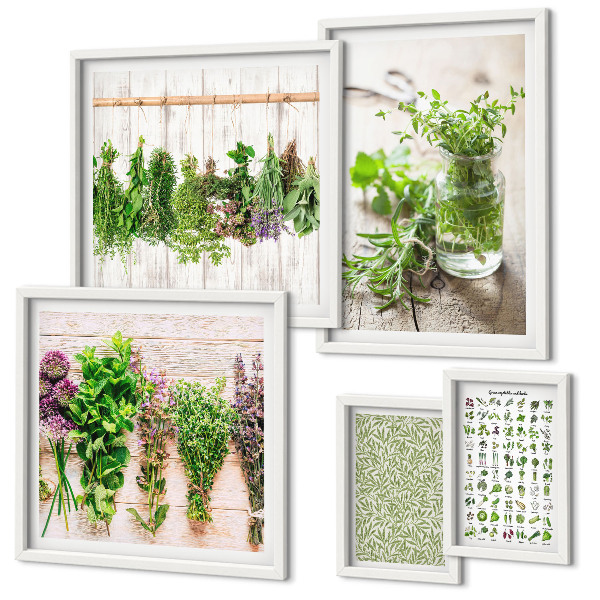 Set di quadri incorniciati Idee per decorazioni a base di erbe aromatiche