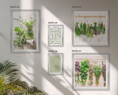 Set di quadri incorniciati Idee per decorazioni a base di erbe aromatiche