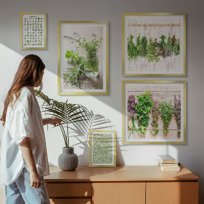 Set di quadri incorniciati Idee per decorazioni a base di erbe aromatiche