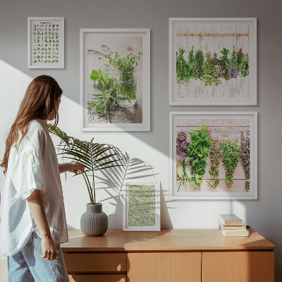 Set di quadri incorniciati Idee per decorazioni a base di erbe aromatiche
